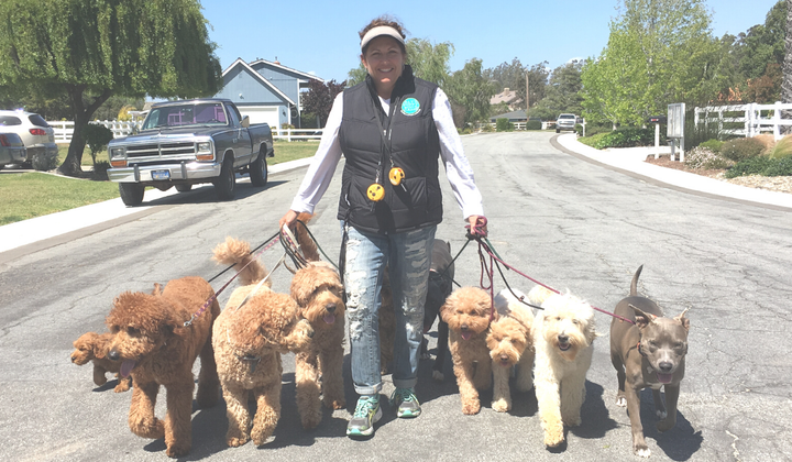 3 Easy Tips to Stop a Dog From Pulling on a Leash