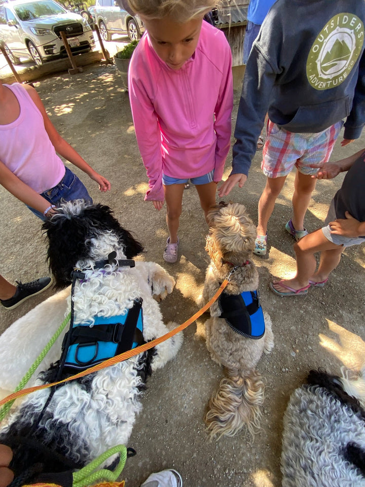How to Tell if your Dog Likes Kids (not all do!)