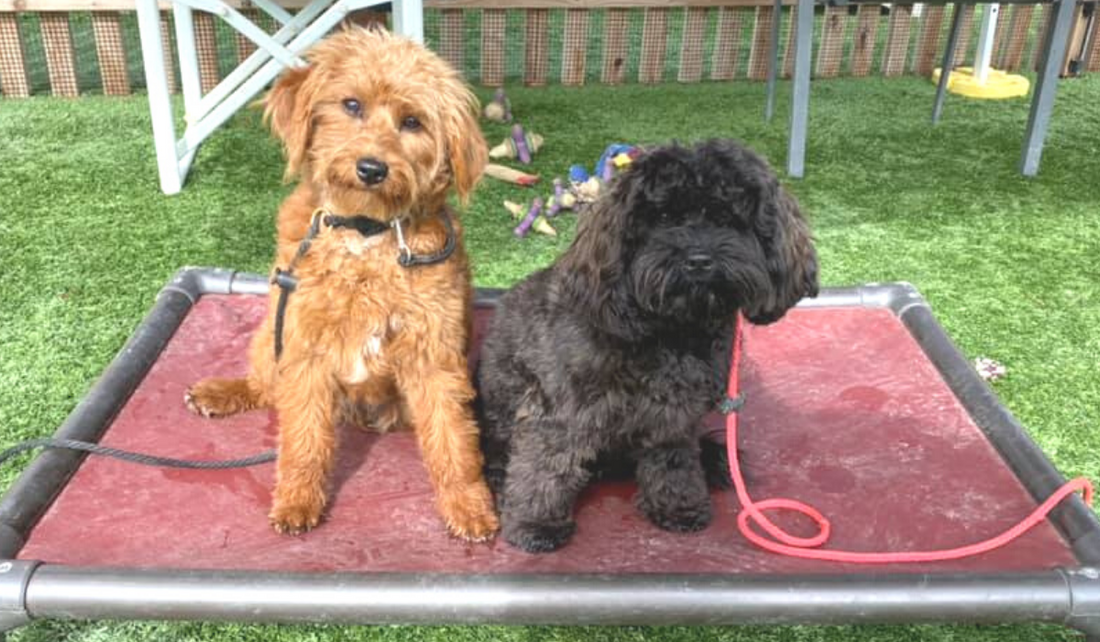 How to Teach "Place"