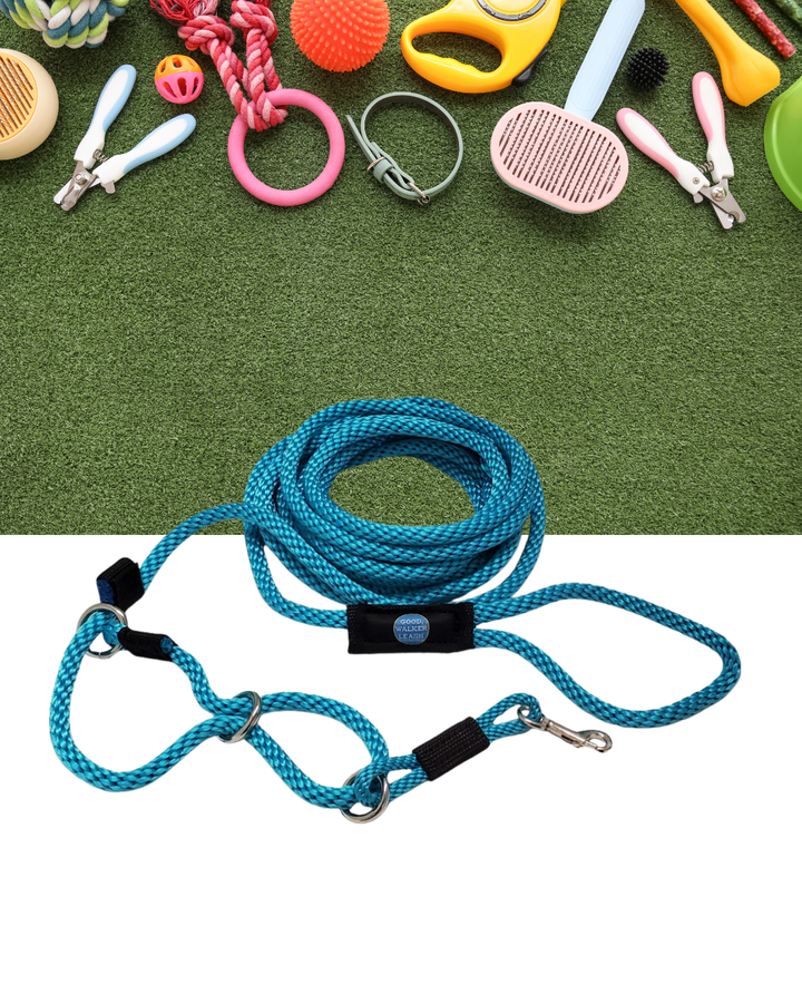 Don't Be a Tool Fool: Aly's Honest Guide to Dog Training Tools