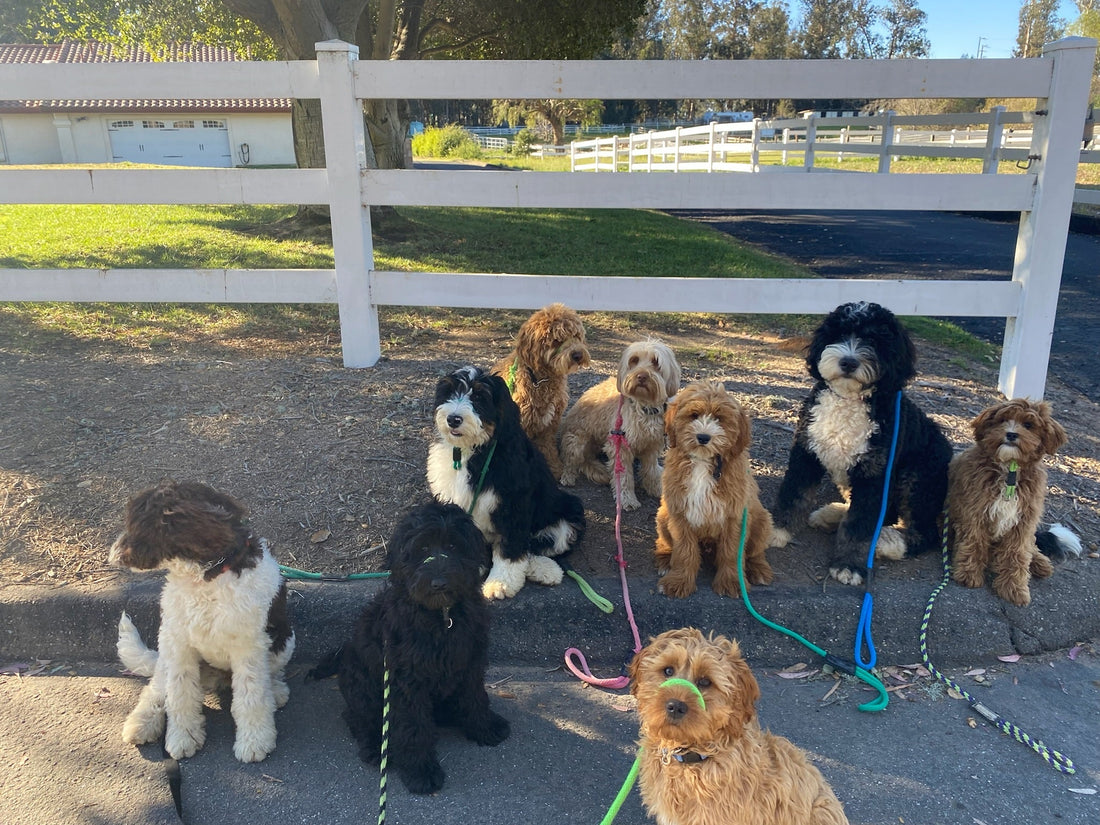 Don't Be A Tool Fool