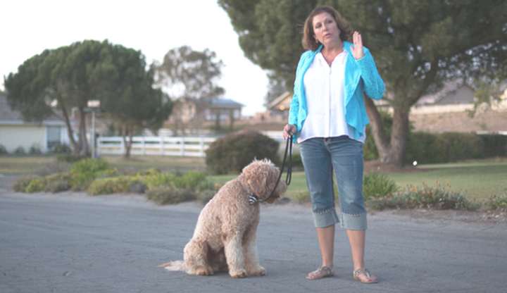 Puppy Nipping and Kids