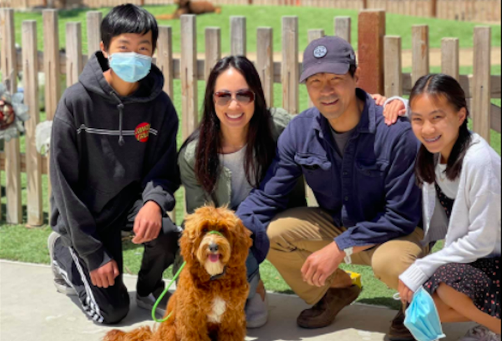COVID Puppies and Their Humans