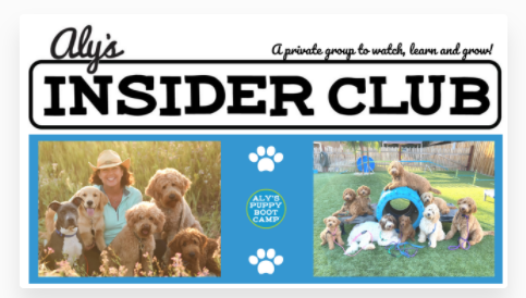 February Round Up - Aly's Insider Club Facebook Group