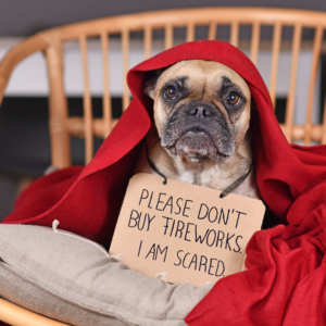 Why Are Dogs Scared of Fireworks?