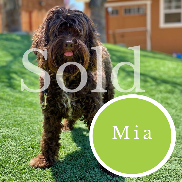 Mia