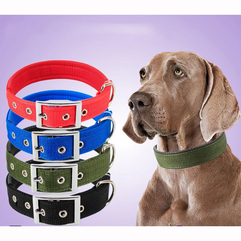 Dog Collar