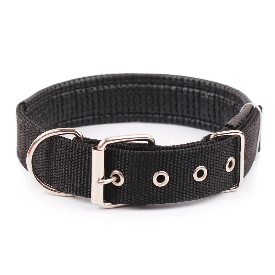 Dog Collar