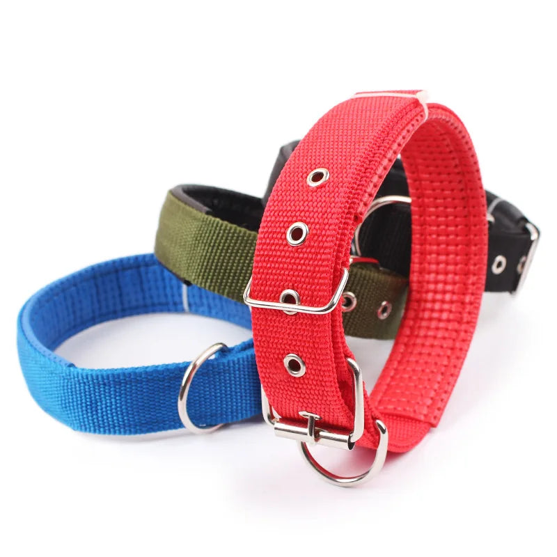 Dog Collar
