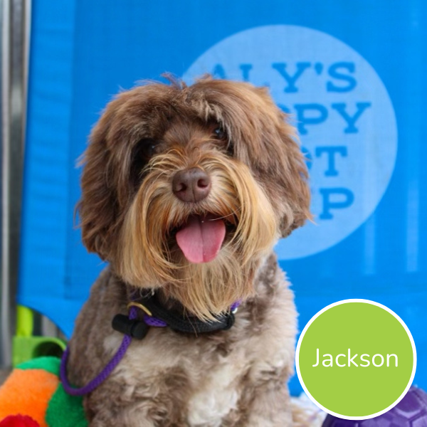 Jackson
