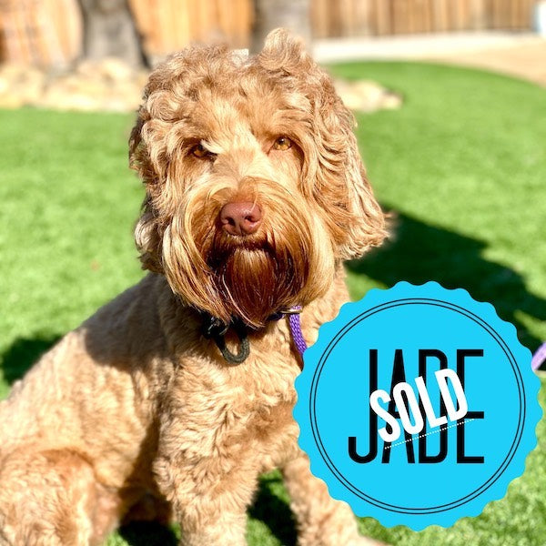 Jade