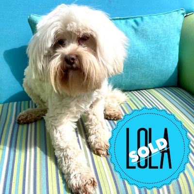 Lola