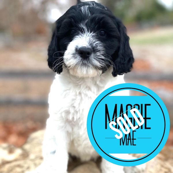 Maggie Mae