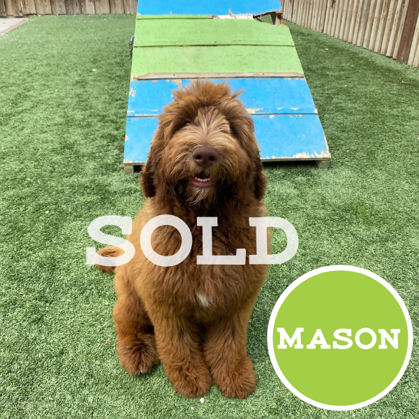 Mason