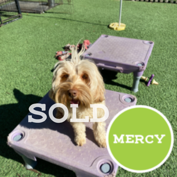 Mercy