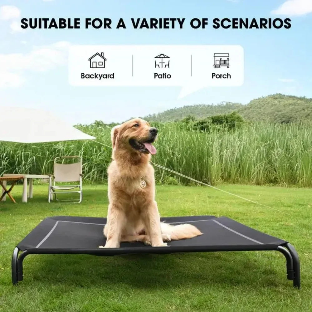 Dog Bed
