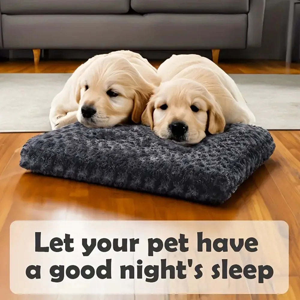 Pet Blanket