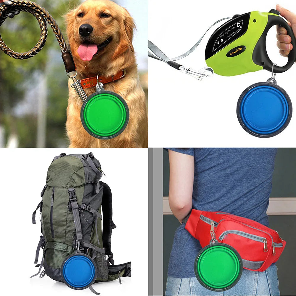 Silicone Collapsible Food Bowl