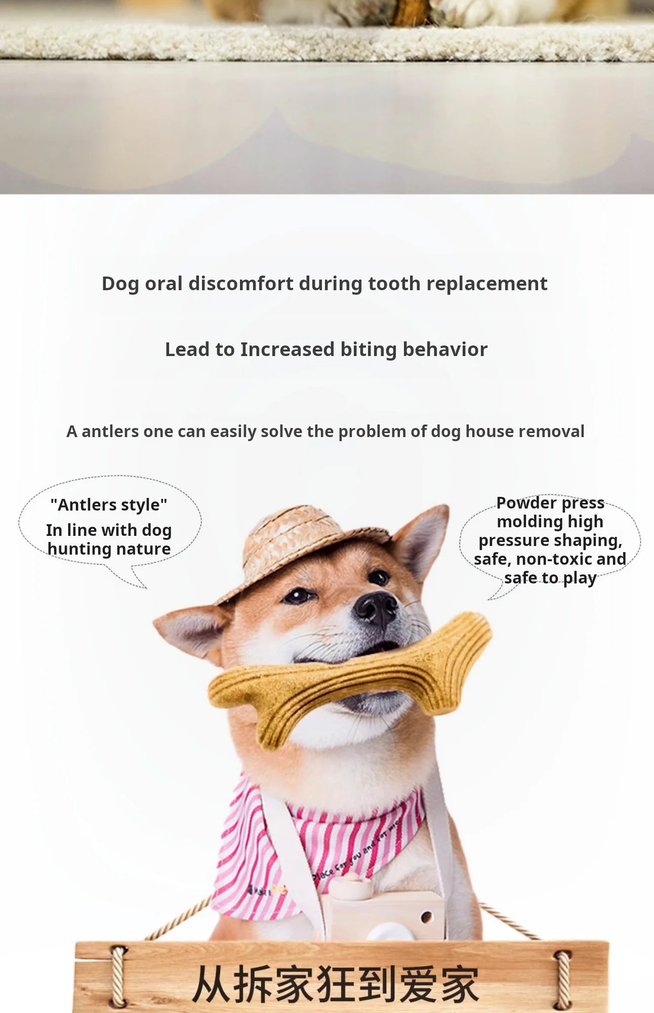 GiGwi Dog Chew Toy