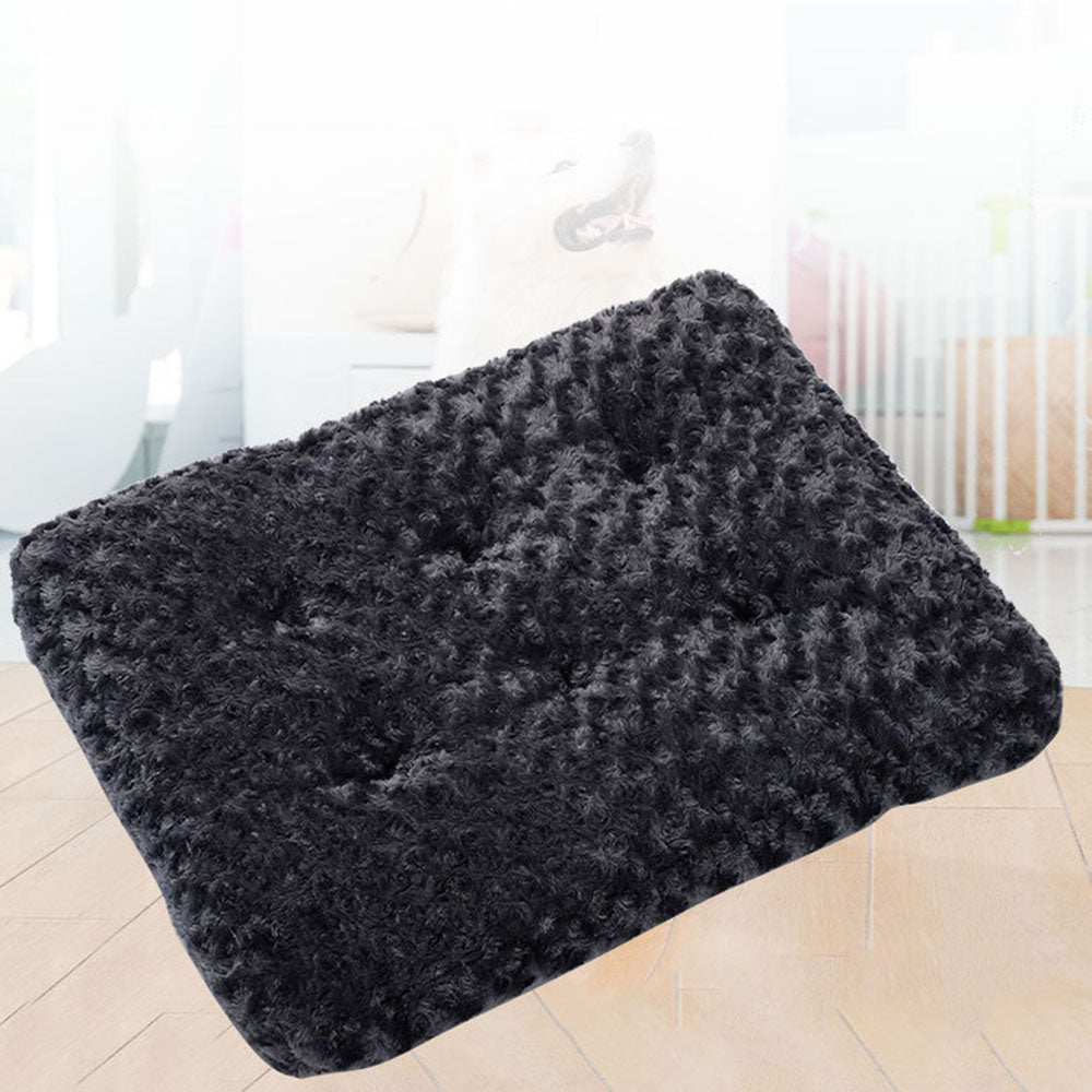 Pet Blanket