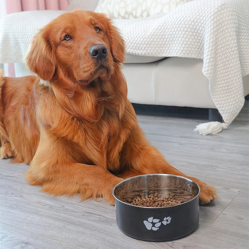 Stainless Steel Pet Dog Bowl