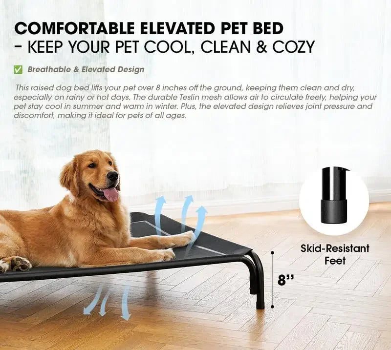 Dog Bed