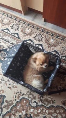 Dog Car Seat with Storage