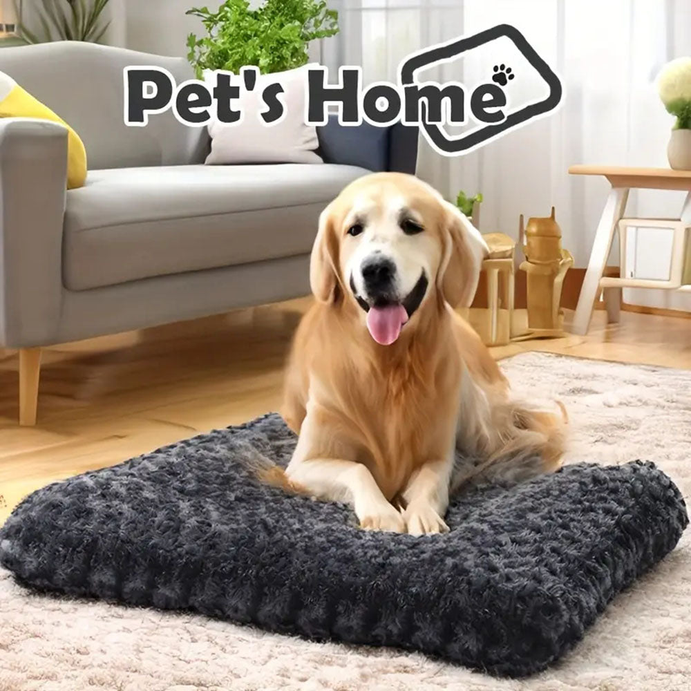 Pet Blanket
