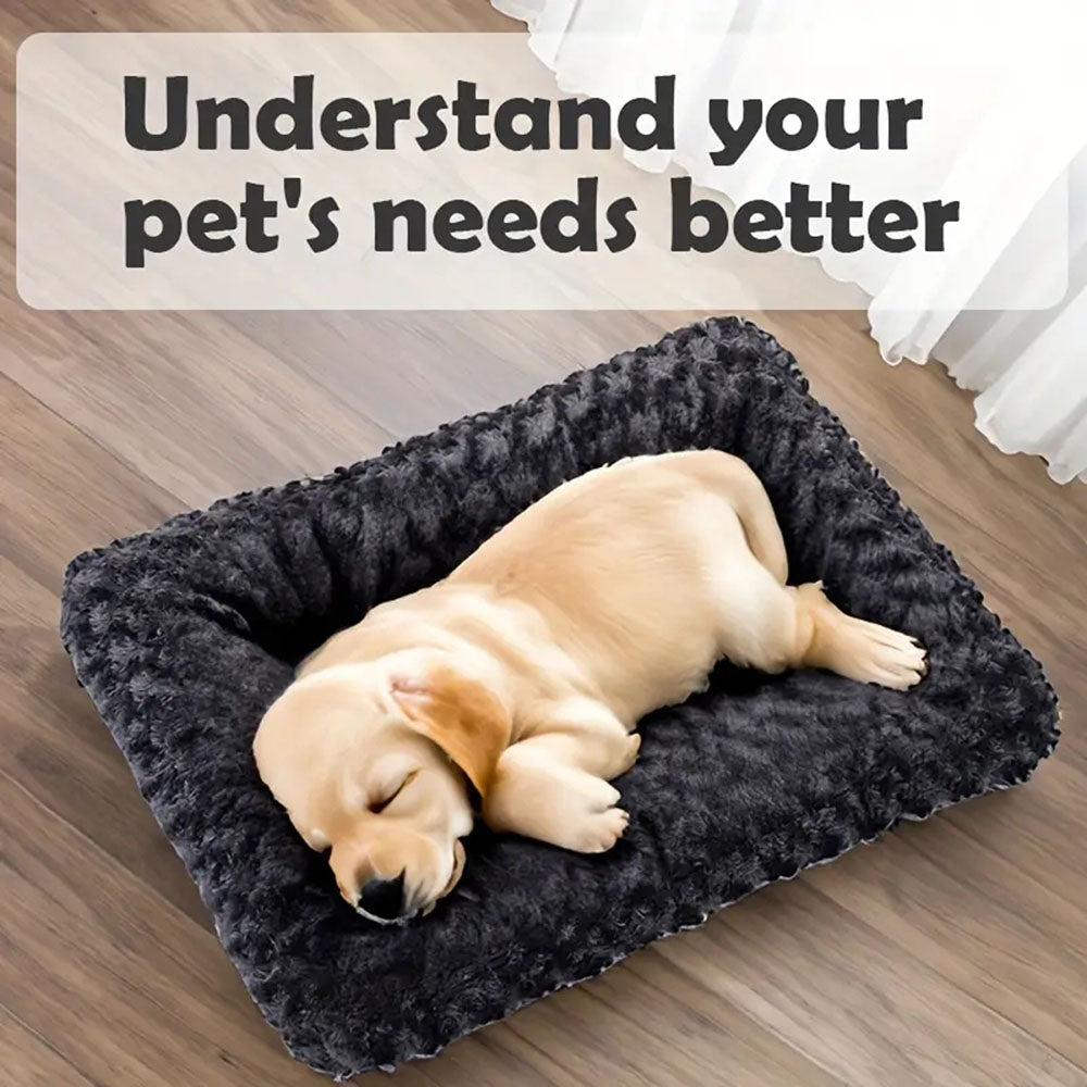 Pet Blanket