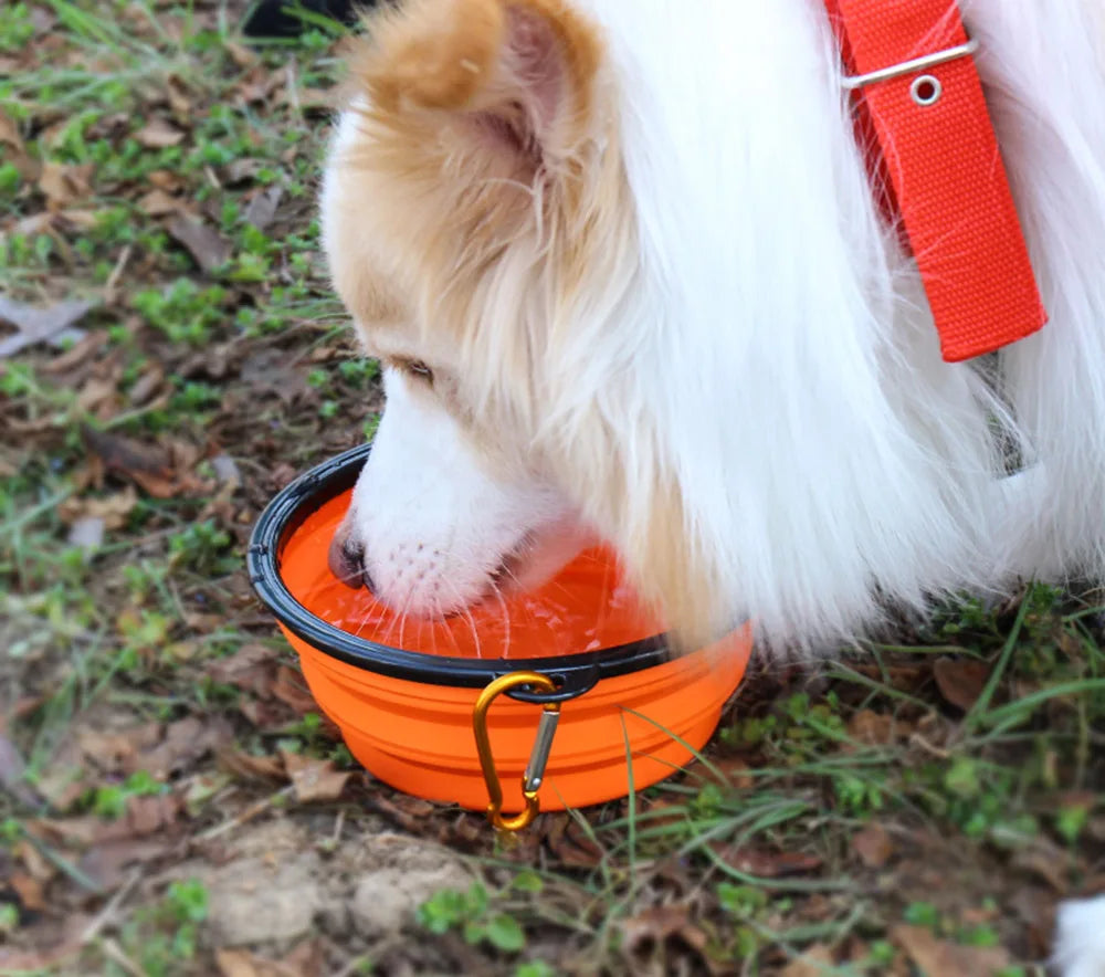 Silicone Collapsible Food Bowl