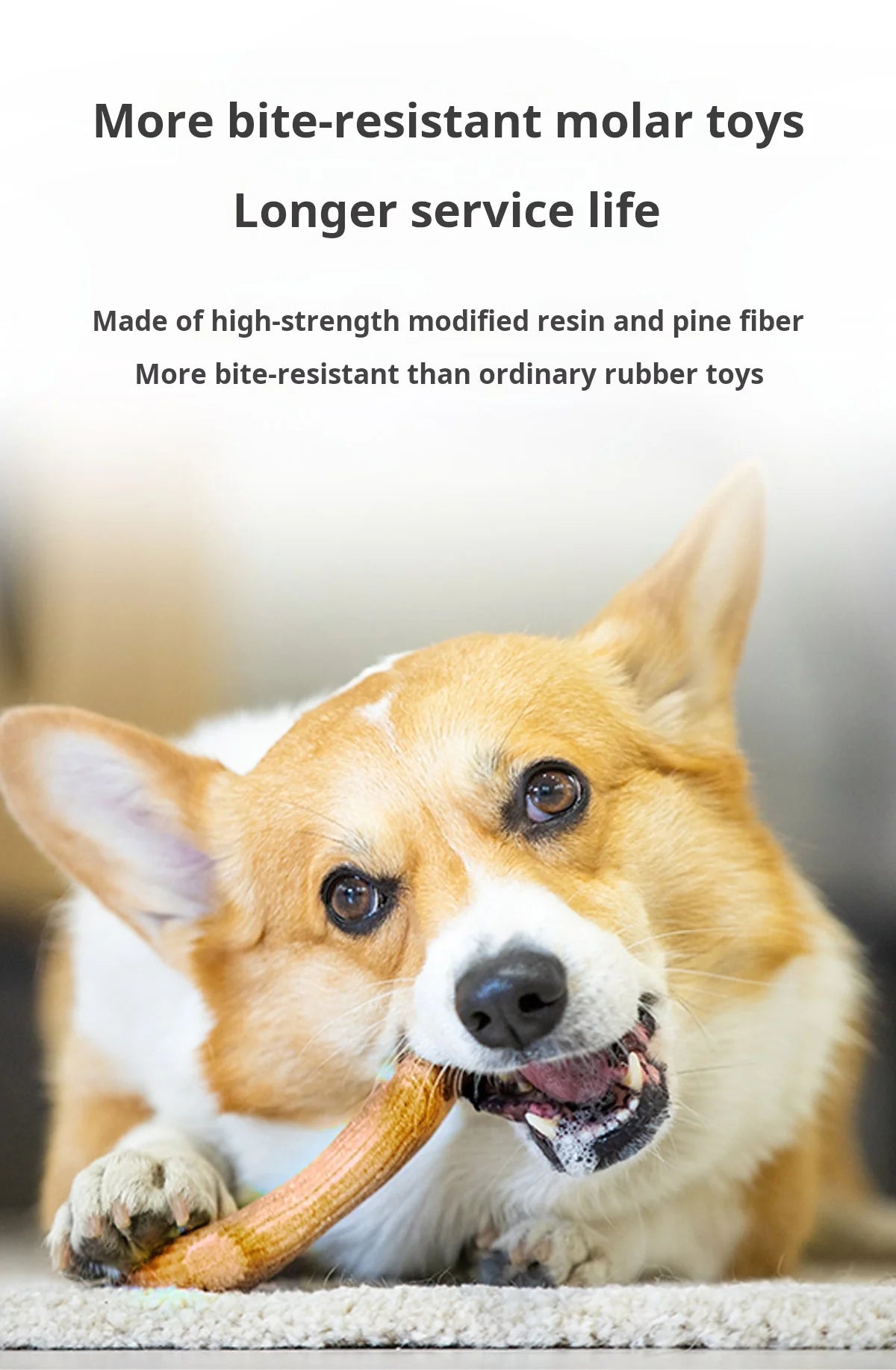 GiGwi Dog Chew Toy