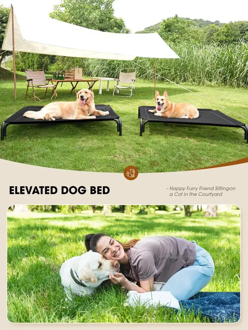Dog Bed