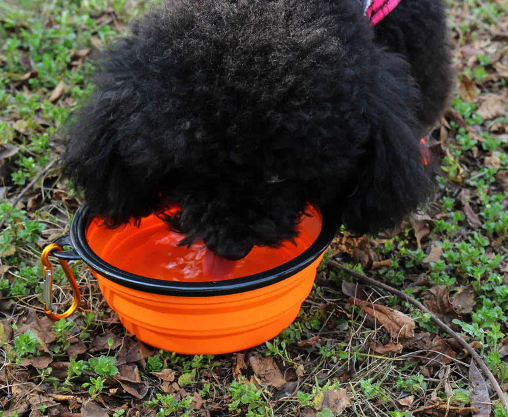 Silicone Collapsible Food Bowl