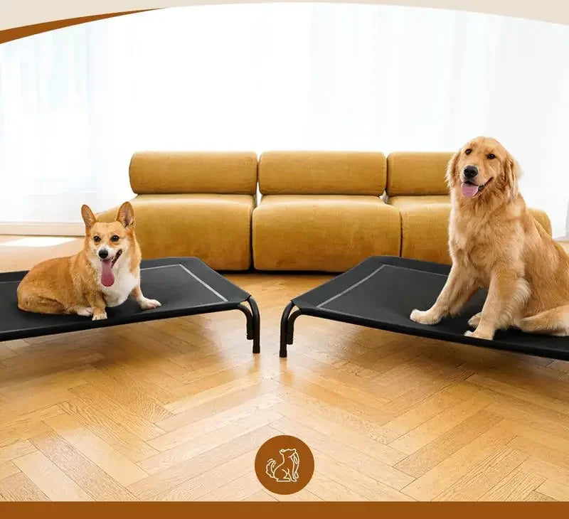Dog Bed