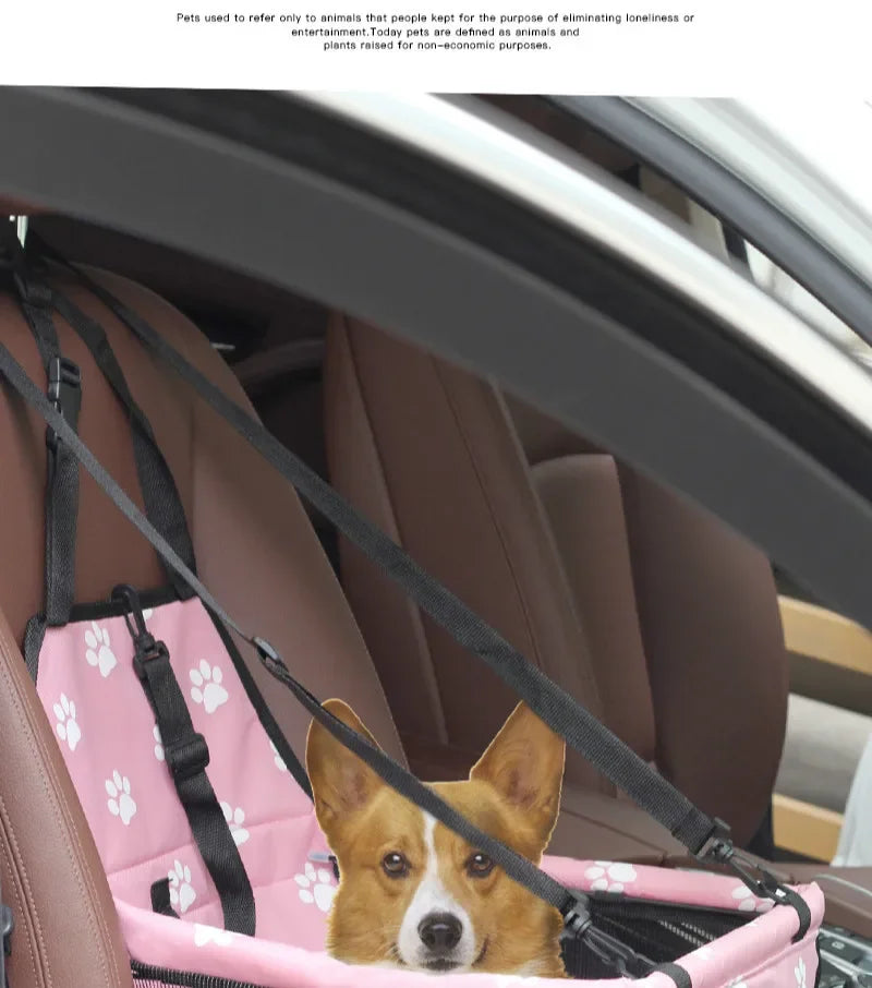 Dog Car Seat with Storage