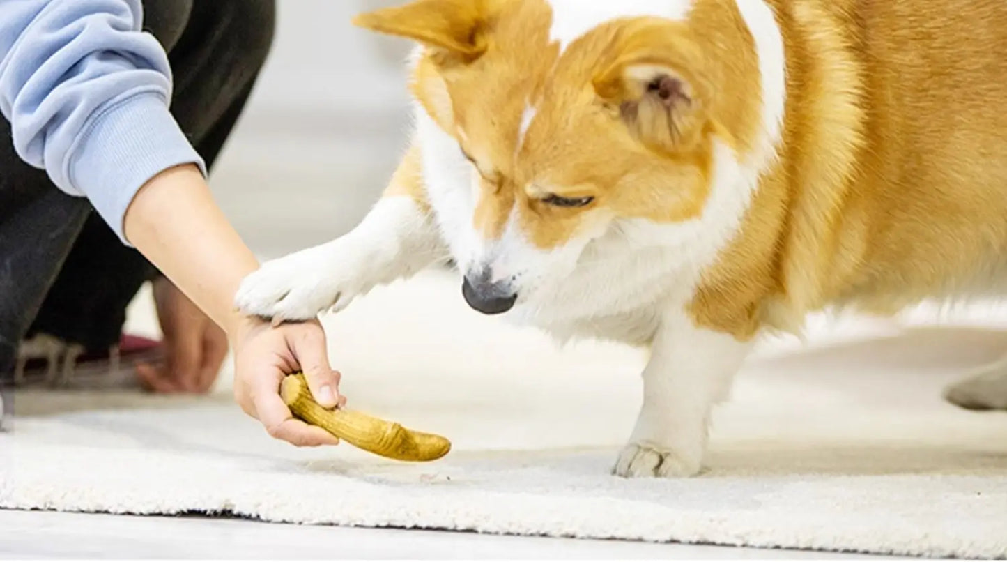 GiGwi Dog Chew Toy