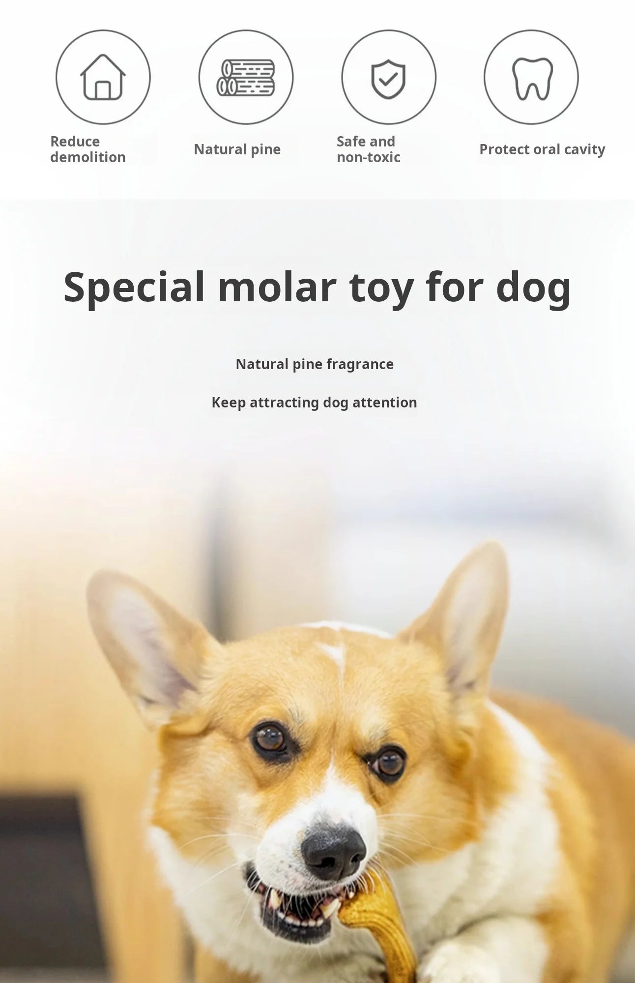 GiGwi Dog Chew Toy
