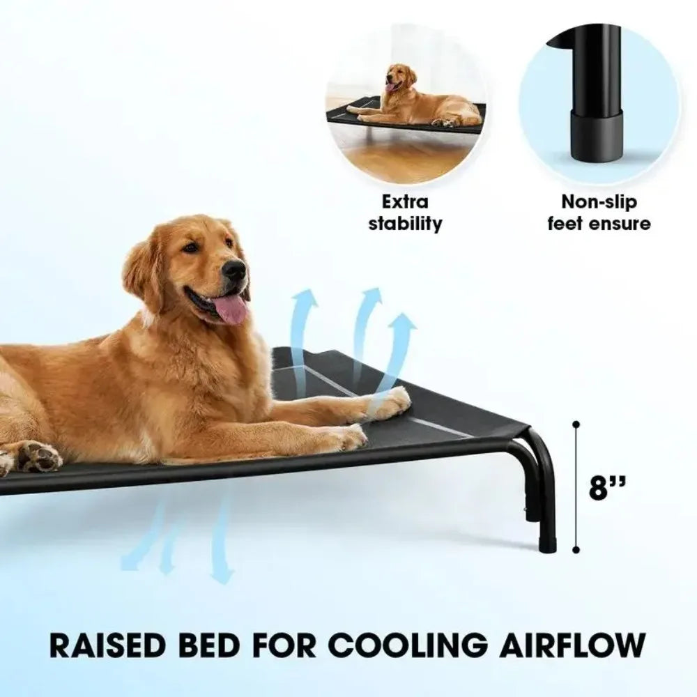 Dog Bed