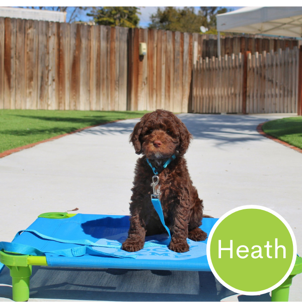 Heath