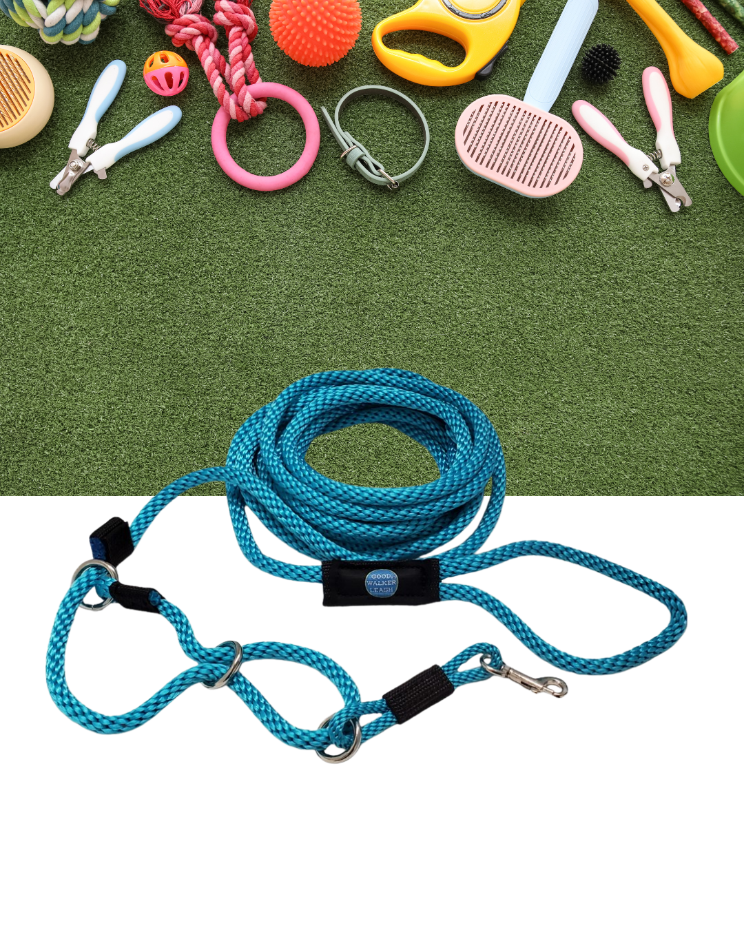 Don't Be a Tool Fool: Aly's Honest Guide to Dog Training Tools