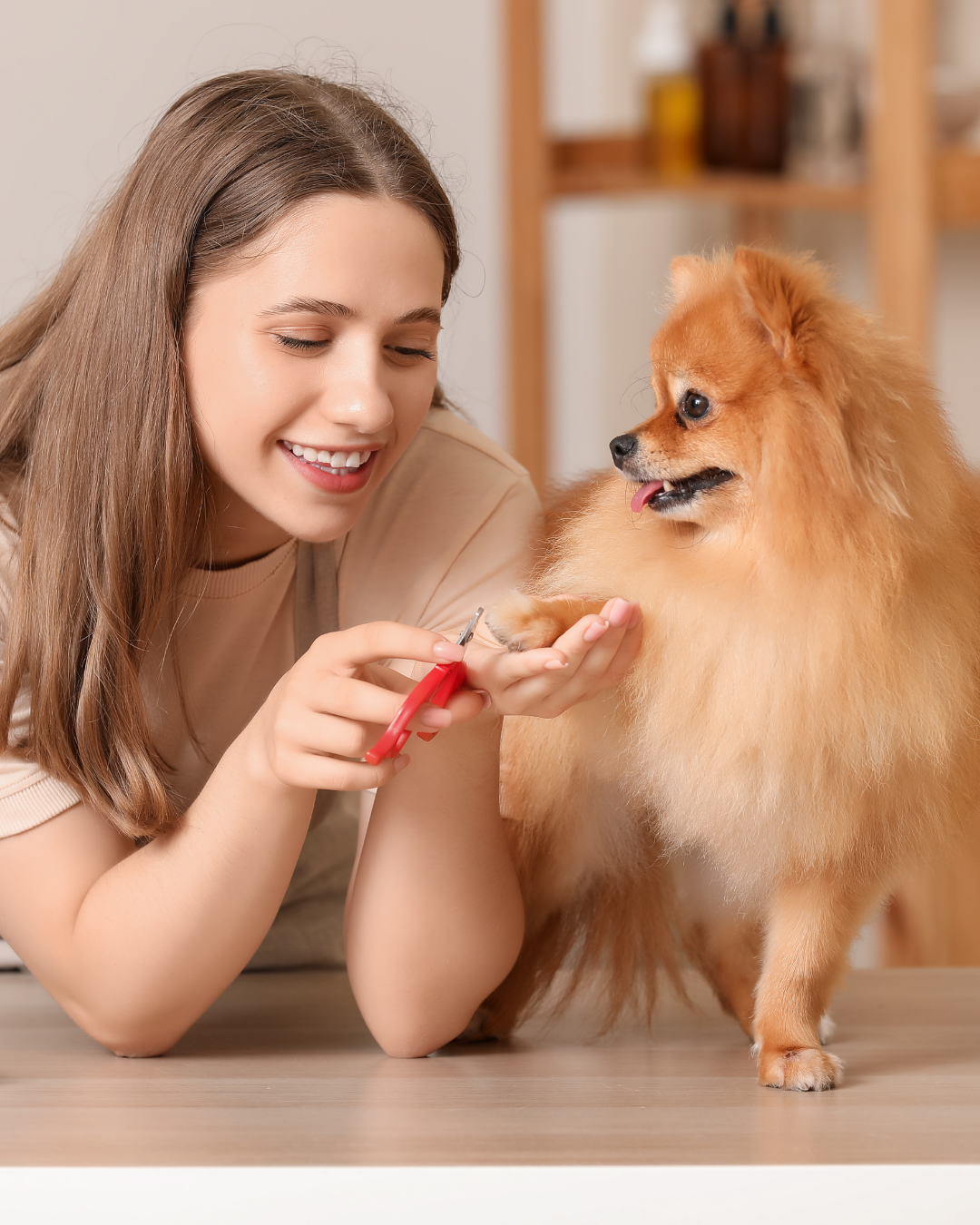 The Benefits of Nail Trimming for Dogs: Why Healthy Nails Mean a Happier, More Comfortable Pup