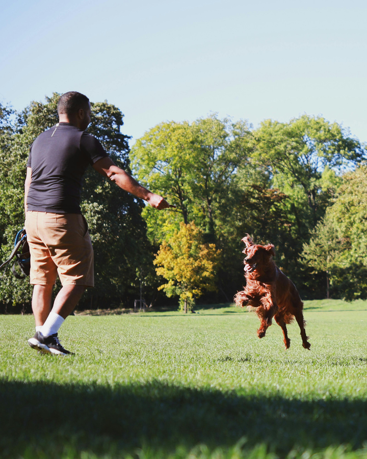 Don’t Drop the Ball: How to Fix Fetch Failures and Turn Play Into Purpose