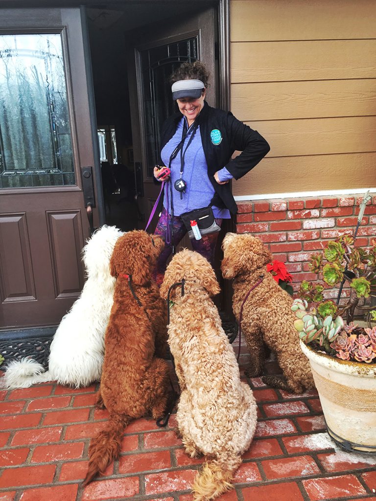 Door Manners Matter: How to Teach Your Dog to Pause, Not Push