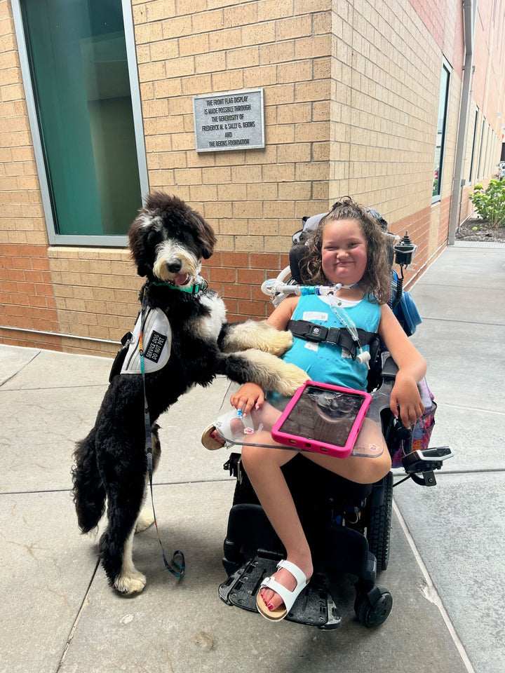 Service Dog in Training Love Story