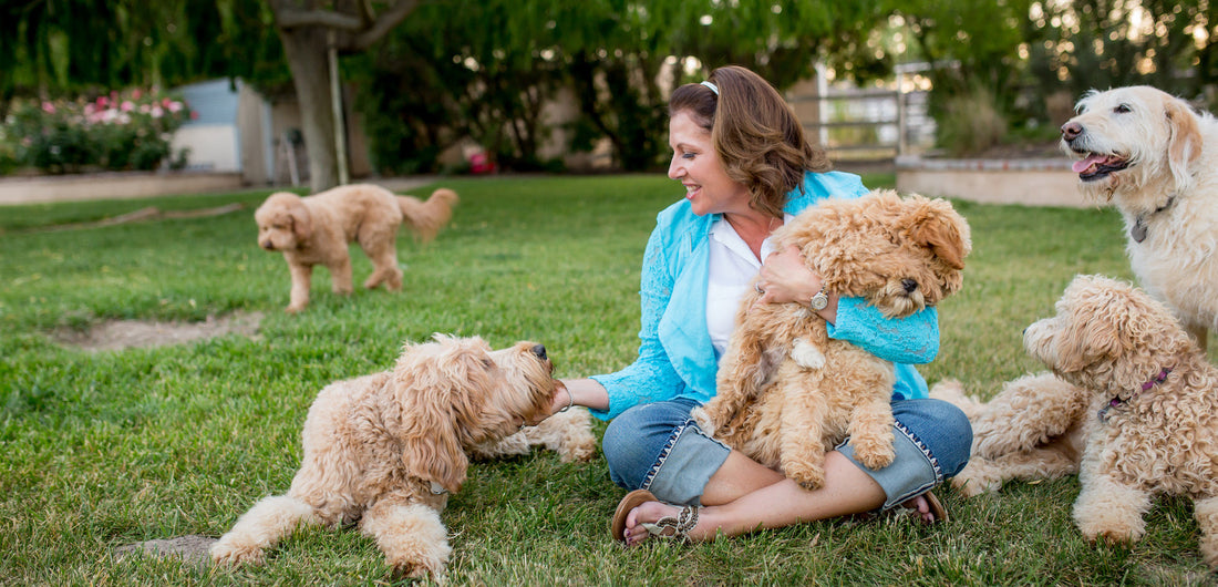 Aly in the News - Celebrity Dog Trainer Aly Rodges and the Art of Just Be