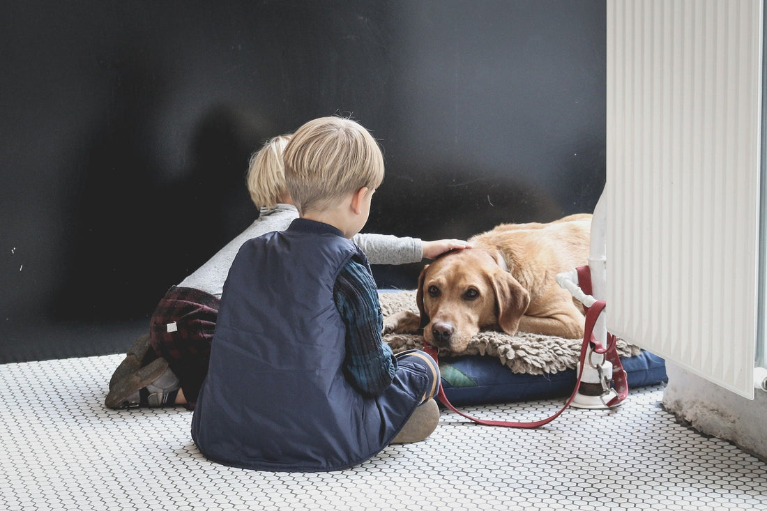 Dogs and Kids - How to Keep them Both Safe