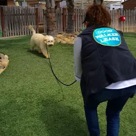 Good Walker Long Line Leash
