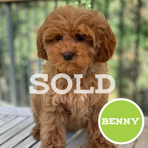 Benny