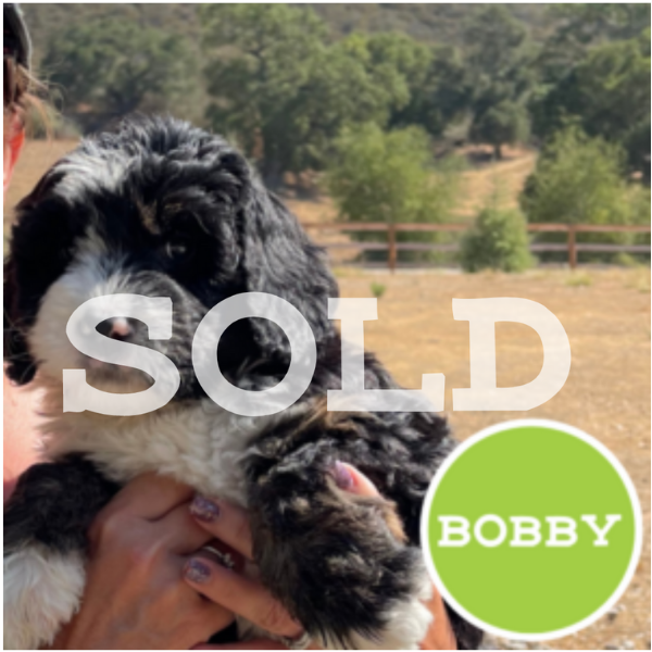 Bobby