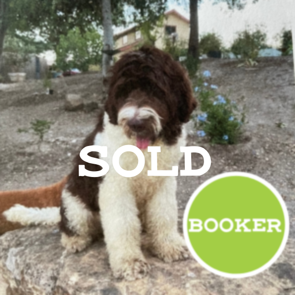 Booker